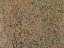 amf00102-3kj5.jpg