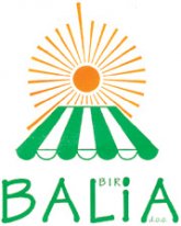 bai_logo.jpg